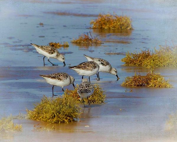 803 Cr 202, Sargent, TX 77414