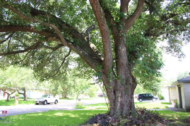 210 Brigadoon Lane, Friendswood, TX 77546