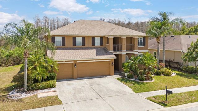 3726 DUKE FIRTH STREET, Land O Lakes, FL 34638