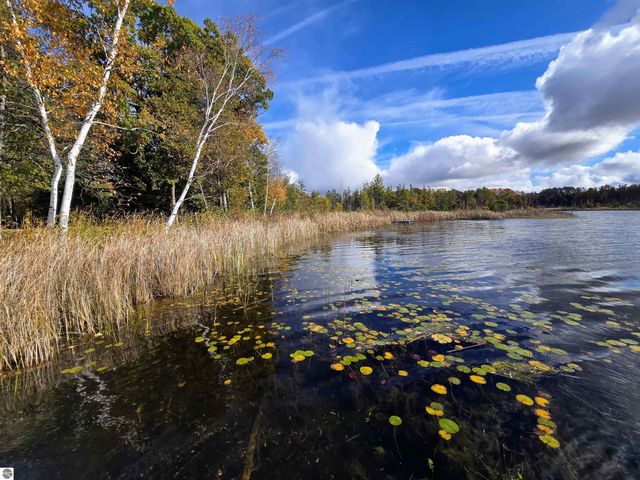 3231 Miller Drive, Sears, MI 49679