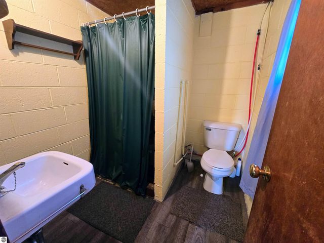 3231 Miller Drive, Sears, MI 49679