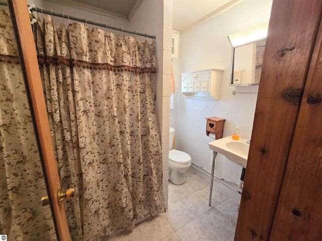 3231 Miller Drive, Sears, MI 49679