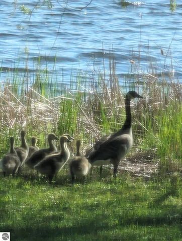 3231 Miller Drive, Sears, MI 49679