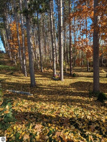 3231 Miller Drive, Sears, MI 49679