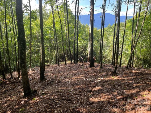 Lt 239 Down The Hill Road 239, Sylva, NC 28779