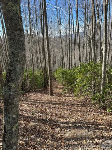 Lt 239 Down The Hill Road 239, Sylva, NC 28779