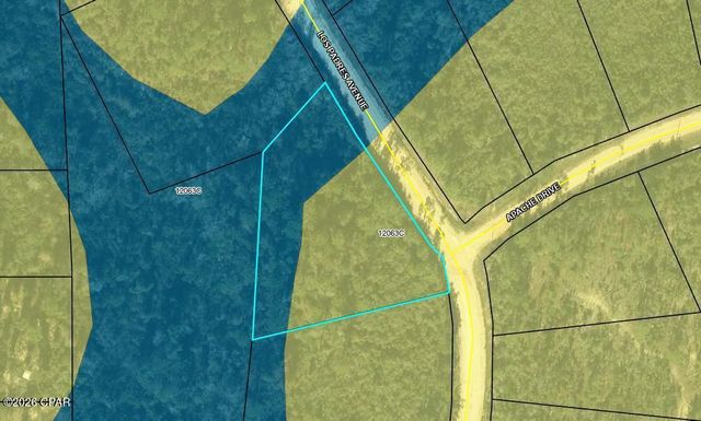 00 Los Padres Avenue, Alford, FL 32420