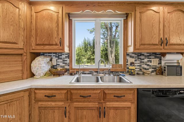 1655 Mary Lamons Road, Afton, TN 37616