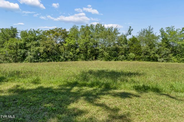 1655 Mary Lamons Road, Afton, TN 37616