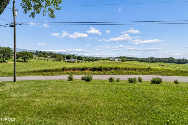1655 Mary Lamons Road, Afton, TN 37616