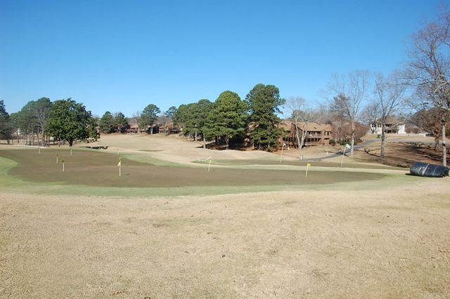 45 FAIRWAY WOODS, Maumelle, AR 72113