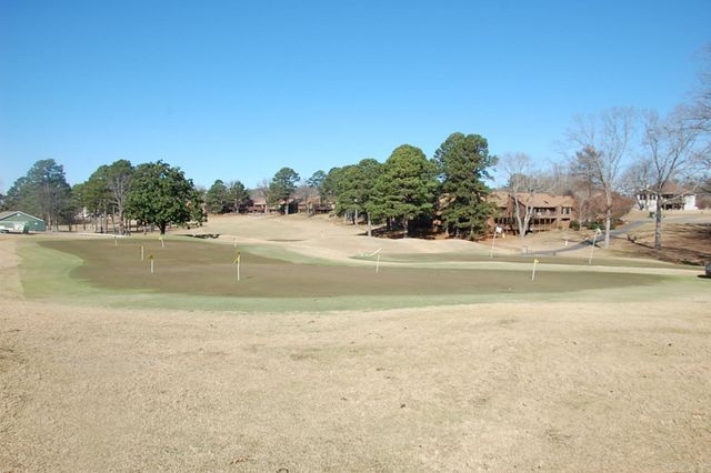 45 FAIRWAY WOODS, Maumelle, AR 72113