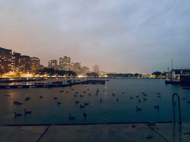 3180 N Lake Shore Drive 4G, Chicago, IL 60657