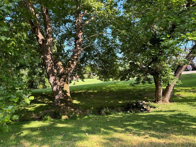 115 Spring ST, Rocky Mount, VA 24151