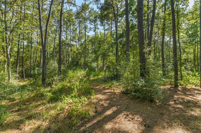 20211 Sienna Ridge Lane, Magnolia, TX 77355