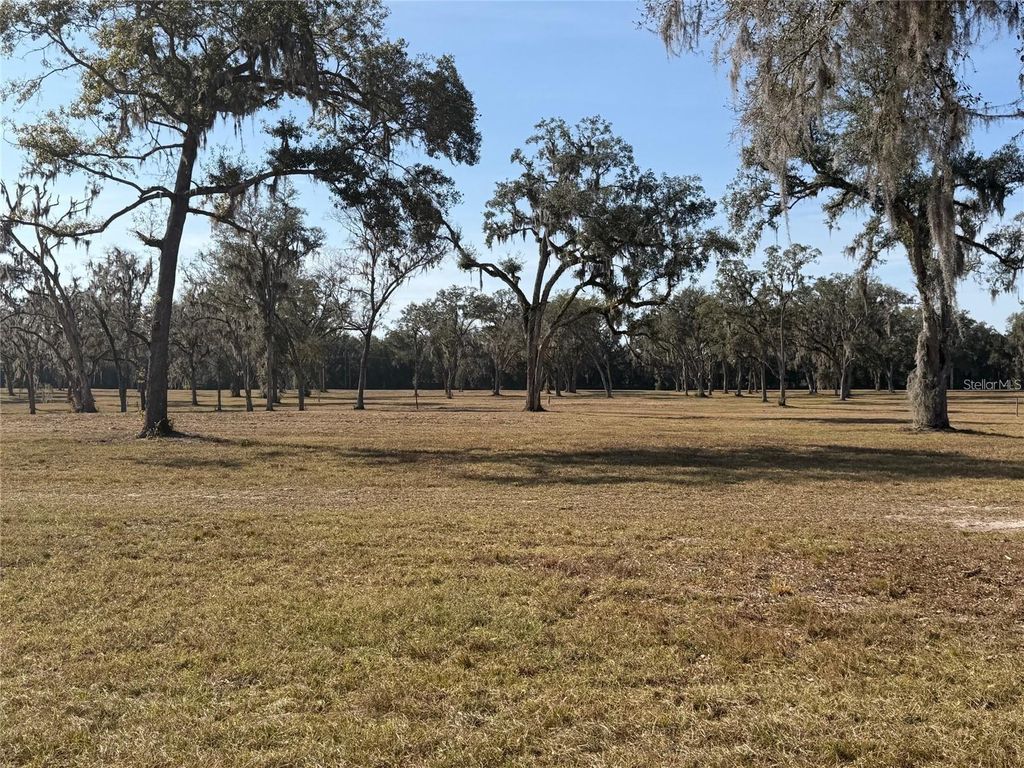 TBD NW 160TH STREET, Reddick, FL 32686