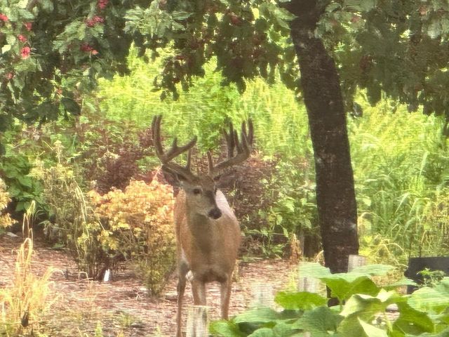 N6241 County Road W, Portage, WI 53901