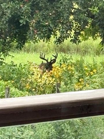 N6241 County Road W, Portage, WI 53901