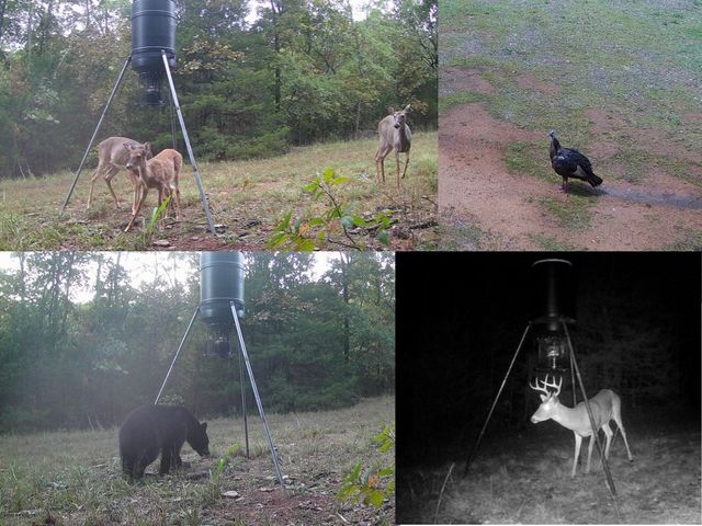 15626 Black Oak Quarry Road, Fayetteville, AR 72701