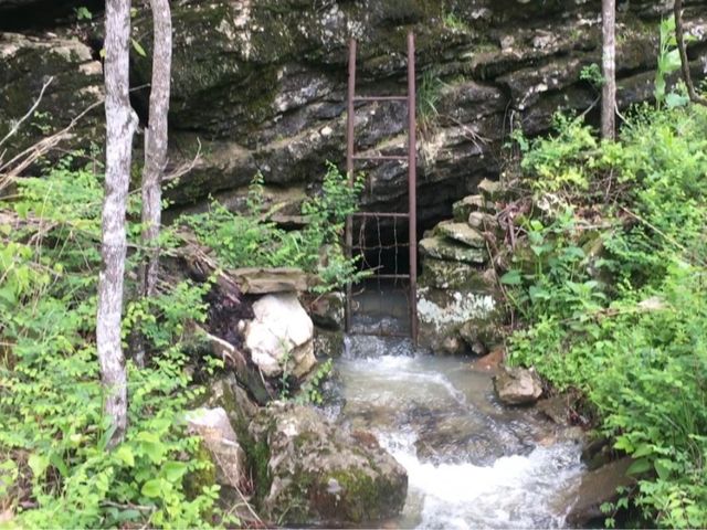 15626 Black Oak Quarry Road, Fayetteville, AR 72701