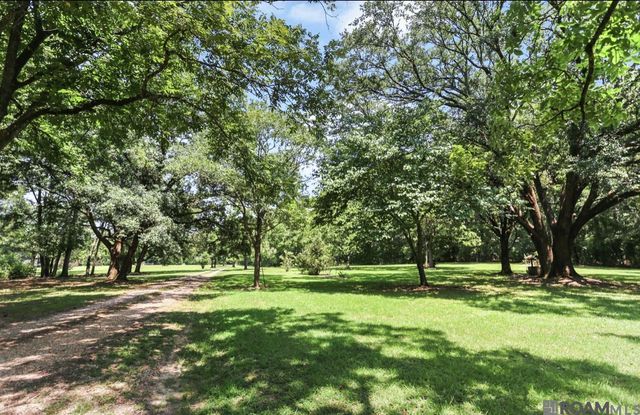 13177 Beech St, Clinton, LA 70722