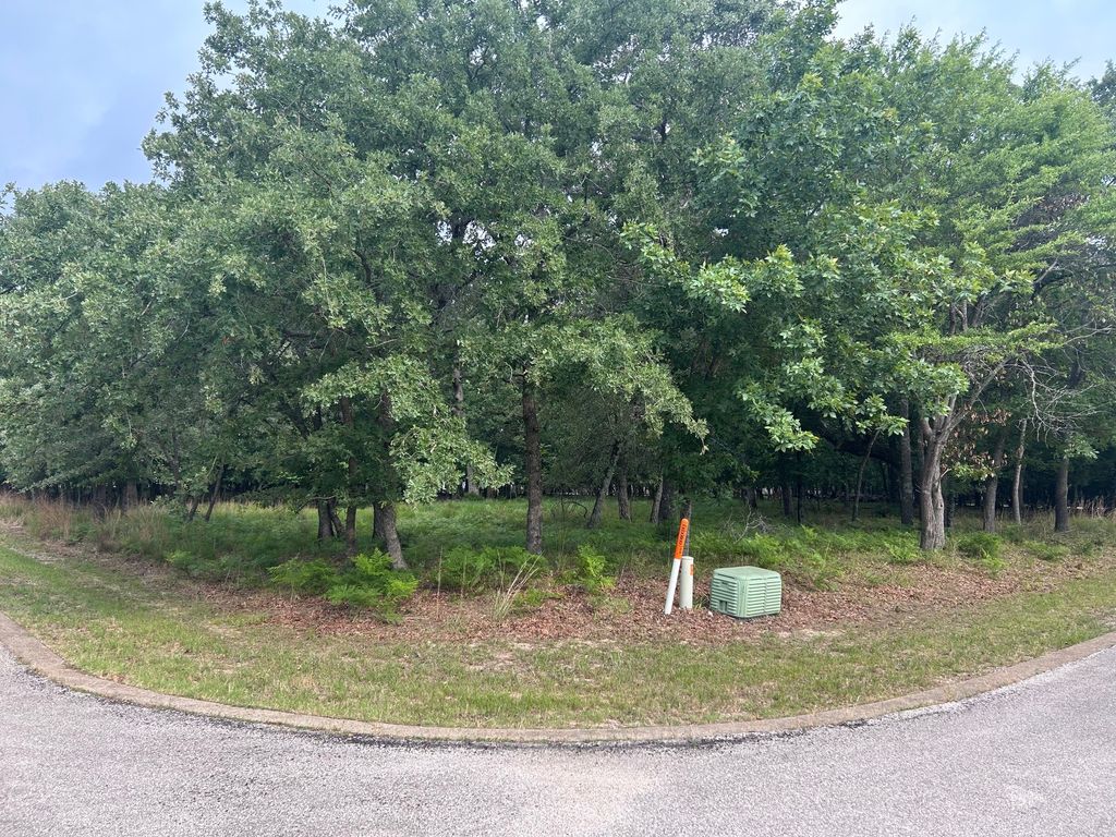 TBD CAROLINE Court, Athens, TX 75752