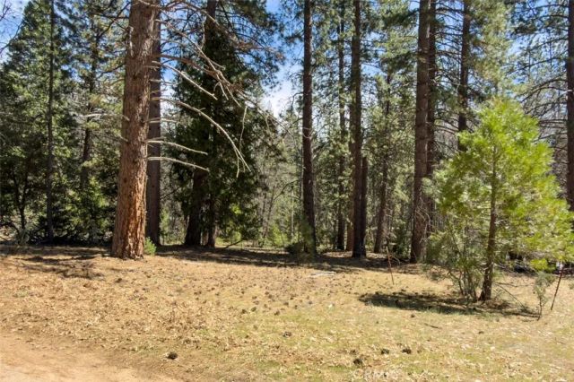 2701 Spelt, Yosemite, CA 95389