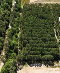 15211 Rubicon Road, Willis, TX 77378