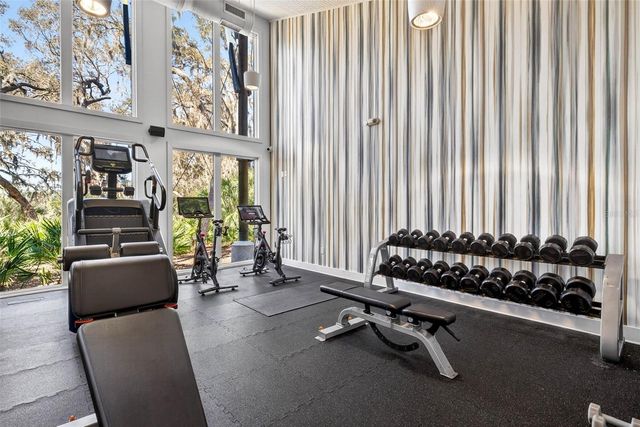 14310 BARRINGTON STOWERS DRIVE, Lithia, FL 33547