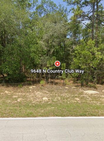 9648 N COUNTRY CLUB WAY, Citrus Springs, FL 34434