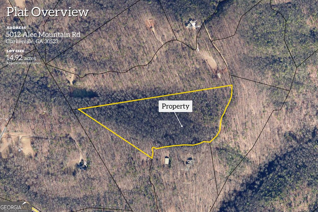 5012 Alec Mountain Road, Clarkesville, GA 30523 — photo 2