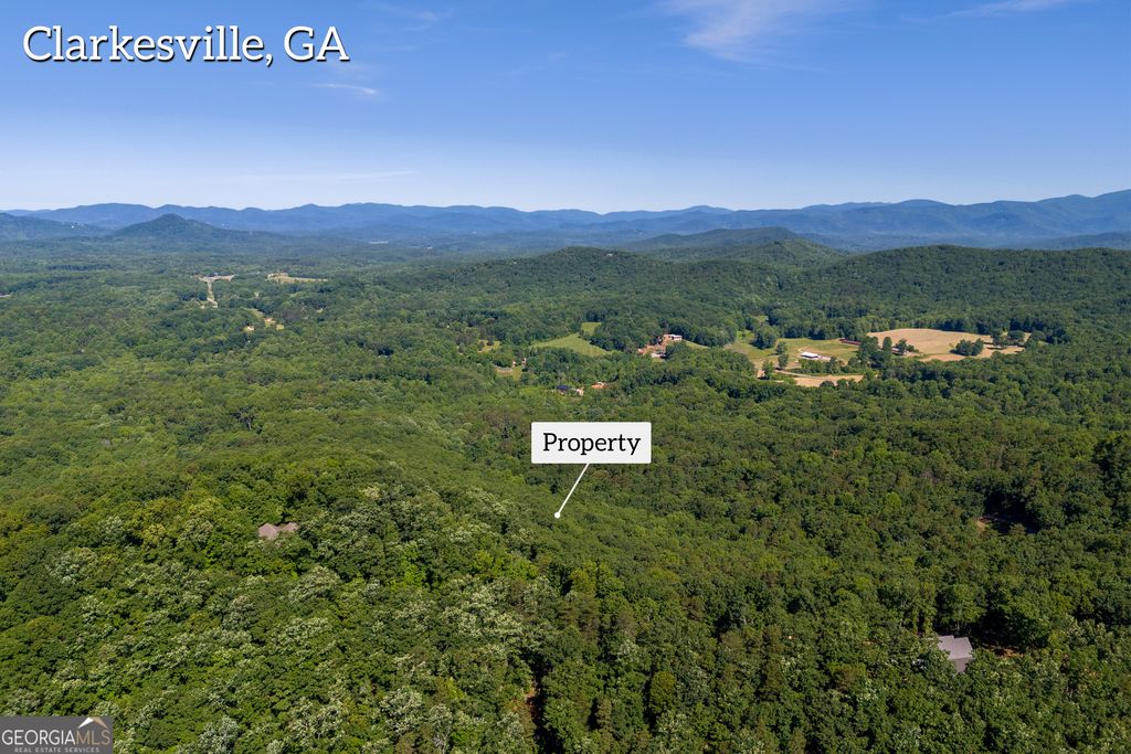 5012 Alec Mountain Road, Clarkesville, GA 30523 — photo 5