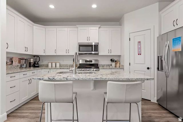 1166 N RIVIERA ALY, Washington, UT 84780