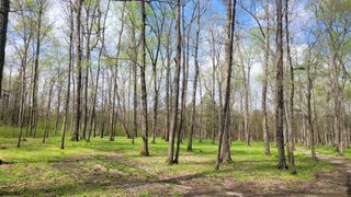 4 Pass Rd, Shelbyville, TN 37160