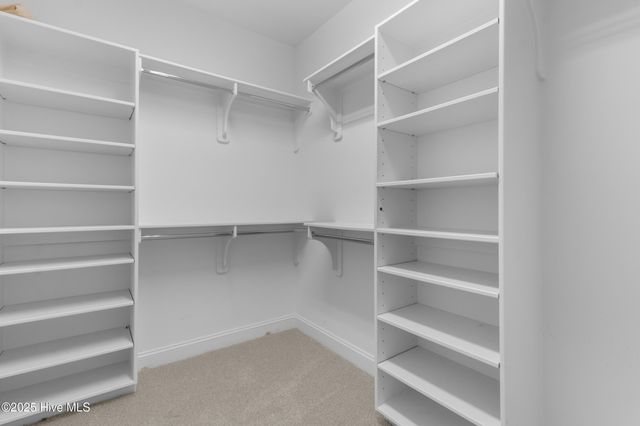 3726 Spicetree Drive, Wilmington, NC 28412