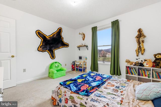 11 INDEPENDENCE DR, Luray, VA 22835