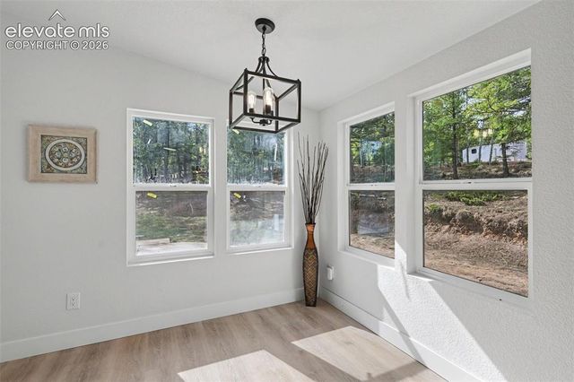 151 Banner Trail, Florissant, CO 80816