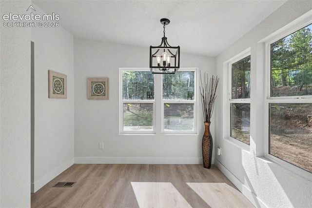 151 Banner Trail, Florissant, CO 80816