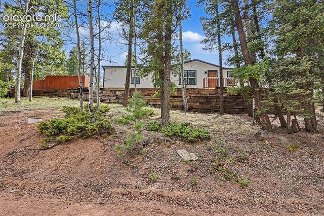 151 Banner Trail, Florissant, CO 80816