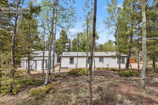 151 Banner Trail, Florissant, CO 80816
