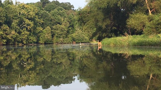 6071 FALLFISH CT, New Market, MD 21774