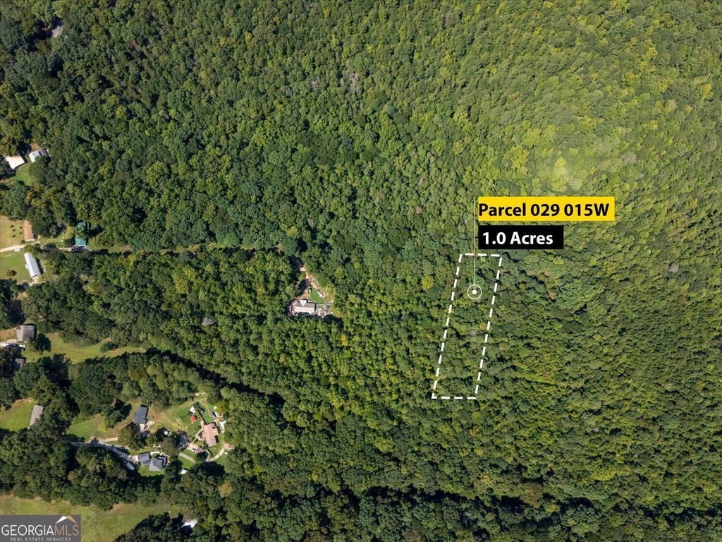 01 Jefferson River Road, Athens, GA 30607 — photo 5