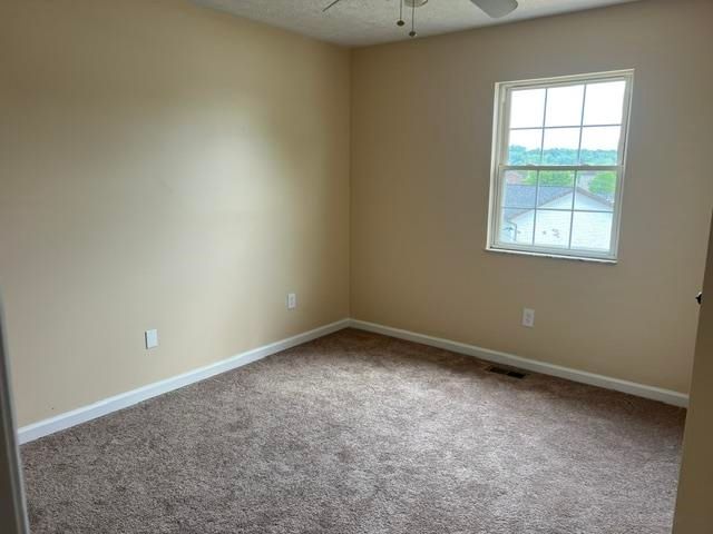203 Nicole Drive, Hurricane, WV 25526