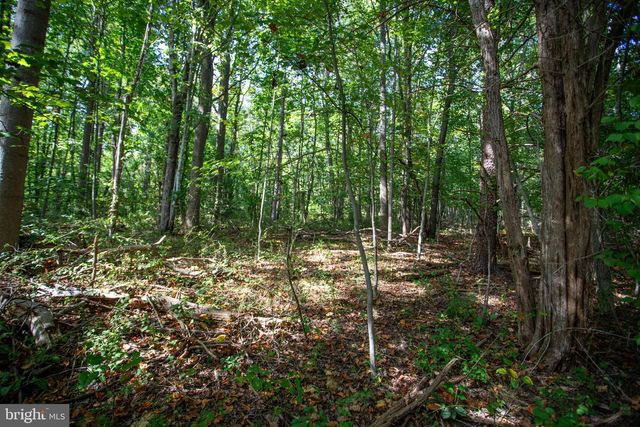 TBD JACKSON LANE, Boston, VA 22713