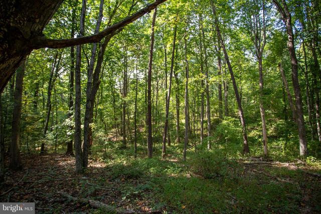 TBD JACKSON LANE, Boston, VA 22713