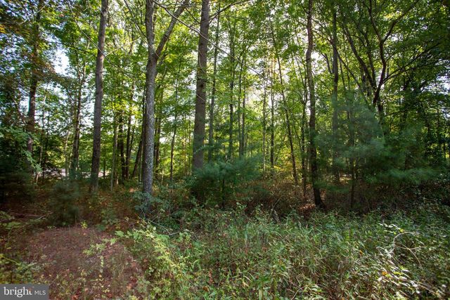 TBD JACKSON LANE, Boston, VA 22713