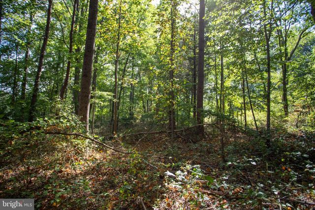 TBD JACKSON LANE, Boston, VA 22713