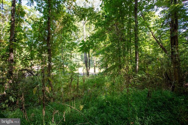 TBD JACKSON LANE, Boston, VA 22713
