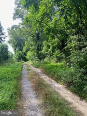 TBD JACKSON LANE, Boston, VA 22713