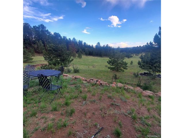 958 Meadows Ln, Florissant, CO 80820